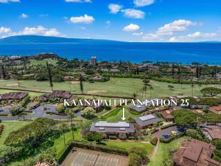 Kaanapali Plantation 25 - Lahaina - 5