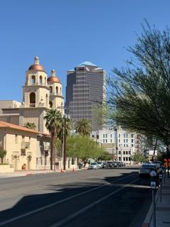 Unicorn Zebra - Tucson - 0