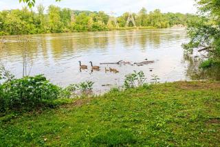 The River Shack - kayaks, fishing, quiet, family - Delta - 5