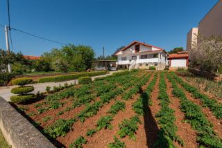 Apartments with parking spaces Bibinje, Zadar - 24491 - Bibinje - 8