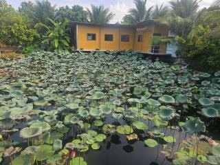 Homestay Sen & Zen Villa Vũng Tàu - 1