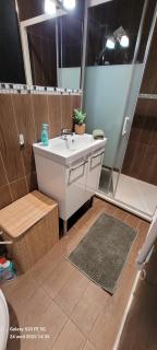 Les Volets Bleus - Deux appartements et un studio, Jardin - Bourges - 2