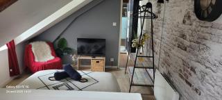 Les Volets Bleus - Deux appartements et un studio, Jardin - Bourges - 3