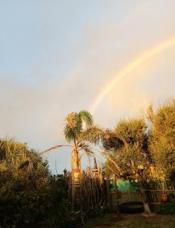 Absolute Beach Front - Tirohanga - 4