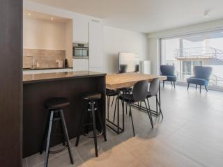 Apartment close to the sea wall of Mariakerke - Ostend - 1