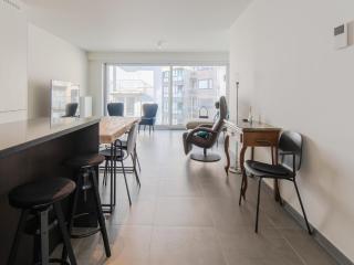 Apartment close to the sea wall of Mariakerke - Ostend - 3