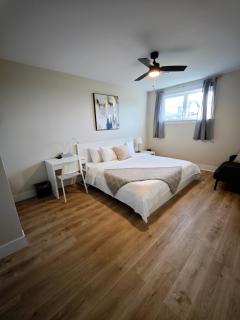 Birch Woods House - Stratford - 2
