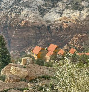Dana luxury huts - Dana - 0