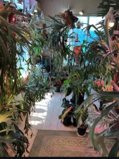 レンタルコテージサントロペ - 4