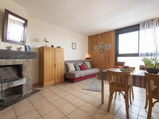 Appartement cosy près des pistes à Saint-Lary-Soulan - FR-1-296-519 - Saint-Lary-Soulan - 0