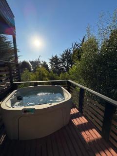 Cabaña del Bosque - Pichilemu - 4