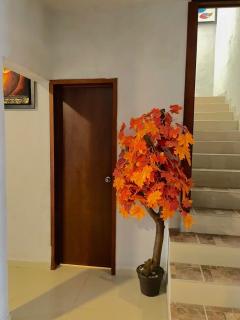 Casa Marea Suites - Manzanillo - 5