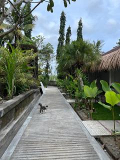 Alfa Kuta - Kuta Lombok - 9