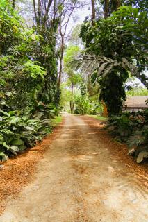 Awake Uvita - Uvita - 4