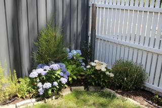 Little Gem City Cottage - 5