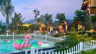 Yellow Homestay - - 1