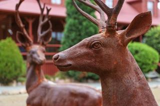 The Lodge - a destination in itself - 2