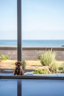 Belle Escapes - Sea Glass Cottage on the Esplanade - Henley Beach South - 0