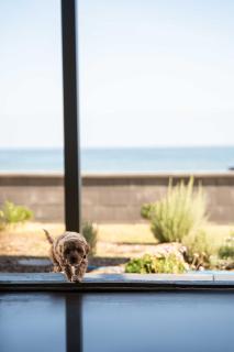 Belle Escapes - Sea Glass Cottage on the Esplanade - Henley Beach South - 9