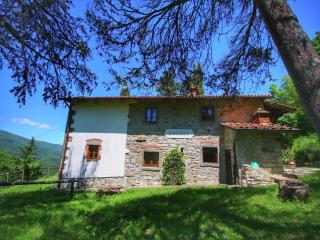 Alluring Farmhouse in Ortignano with Swimming Pool - Castel Focognano - 1