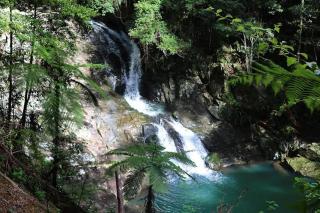 Tranquil Haven Lush Gardens & Private Pool Getaway - - 2
