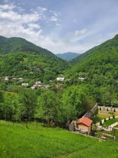 DIOSKURIA BORJOMi - Bordschomi - 9