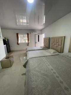 Posada Three Cay Suites - Providencia - 8