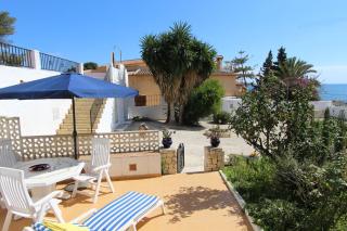 Algas - Moraira - 0