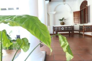 Galle Villa with large Pool - Galle - 1