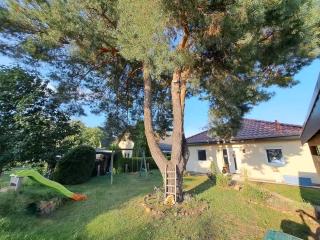 Ferienhaus im Gruenen Garten 6P - Rangsdorf - 0