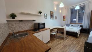 Felicjanek Street Apartment - Krakow - 9