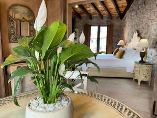Loft Michelangelo: ¡El esplendor de Val'Quirico! - Santeagueda - 6