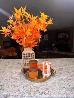 Sunshine Oasis Home - Fayetteville - 6