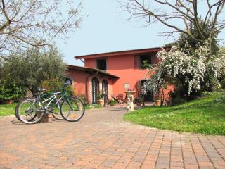B&B Ai Glicini - Castelli Romani - Marino - 8