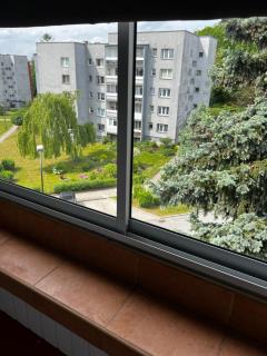 ZieloneMistrzejowice - Krakow - 3