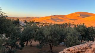 Bella suites taghit - Taghit - 9