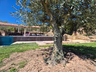 Lou damisello - Villa moderne - 7