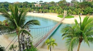Orchid Hotel - Singapore - 8