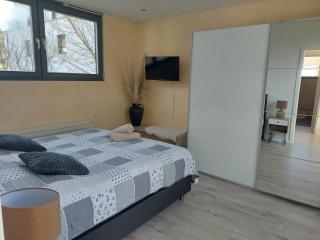 Tolle Penthouse Wohnung direkt am Park - Heilbronn - 8