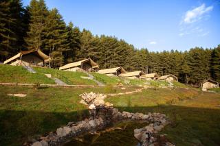 Gangtey Tent Resort - Gangtey Gonpa - 8