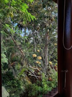Frangipani room at Pondok Balok - Ubud - 7