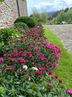 Hotel-Apartamento Rural Atxurra - Bermeo - 8