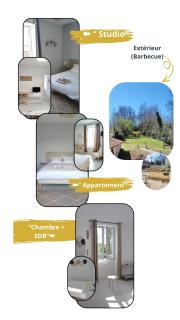 Studios ou Chambre SDB avec extérieur centre-ville Ribérac - Ribérac - 0
