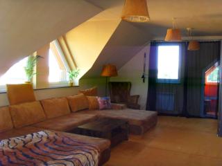 Malbork apartament z widokiem na zamek - Malbork - 3