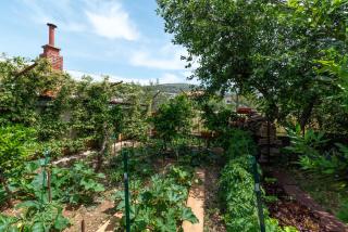 House Antonija, relax by the sea - Seget Vranjica - 9