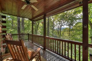 Bearfoot Ridge Wood-burning fireplace cozy hot tub serene views - Ellijay - 1