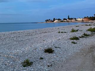 PEPE - Dénia - 9