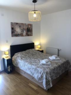 Appartement 46m2 1 chambre parking proche du lac - Aix-les-Bains - 3