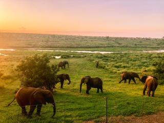 Elephant Walk Tented Camp - - 0