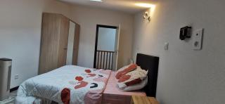 appartement 80 m2 - Le Puy-en-Velay - 4